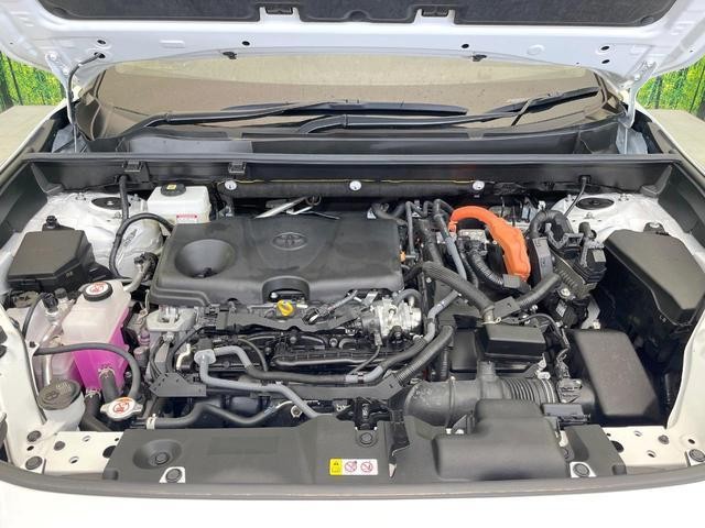 26209883_carP_l_18.jpg