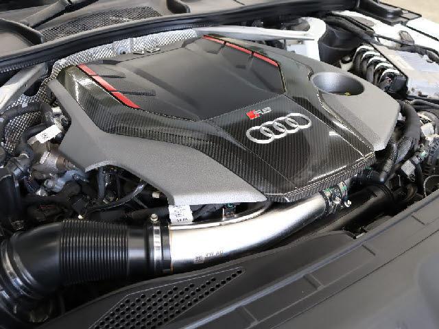 23954780_carP_l_10.jpg