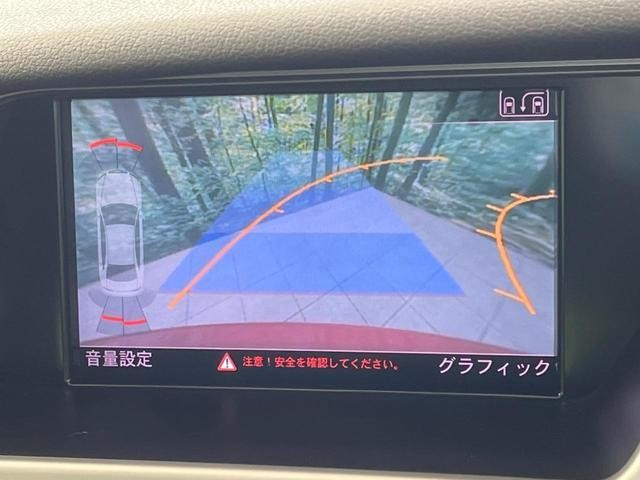 25734076_carP_l_4.jpg