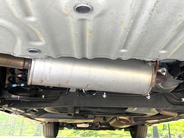 24320397_carP_l_20.jpg