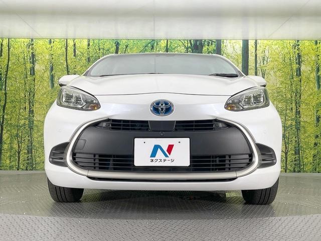 25942512_carP_l_8.jpg