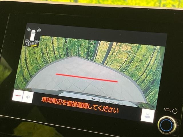 25035831_carP_l_10.jpg