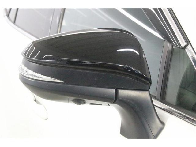 25626900_carP_l_6.jpg