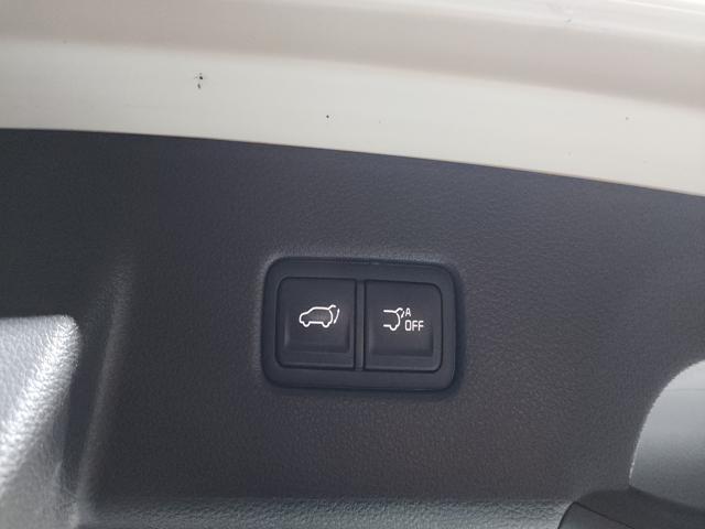 52f56d04595a958e25d67d295a2e75d1.jpeg
