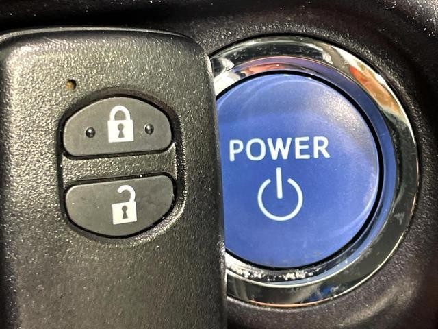 25527919_carP_l_19.jpg