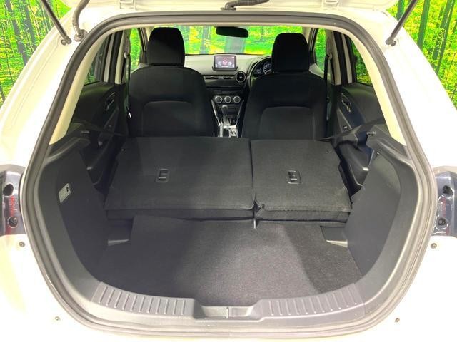 25734040_carP_l_5.jpg