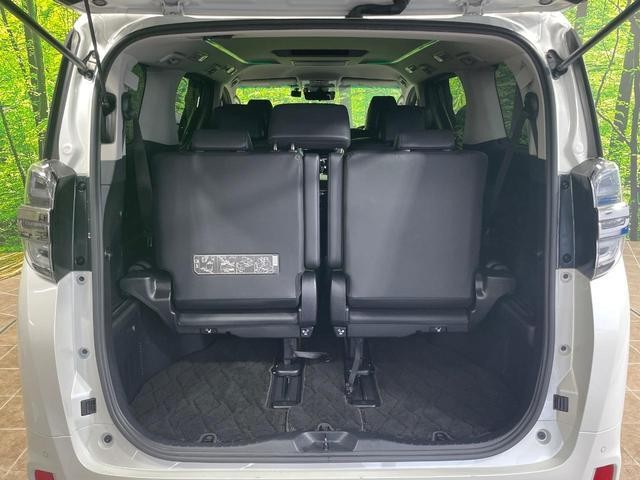 26925264_carP_l_5.jpg