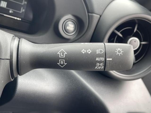 24947175_carP_l_9.jpg
