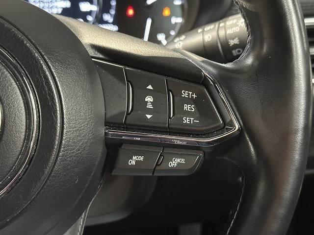 22988740_carP_l_10.jpg