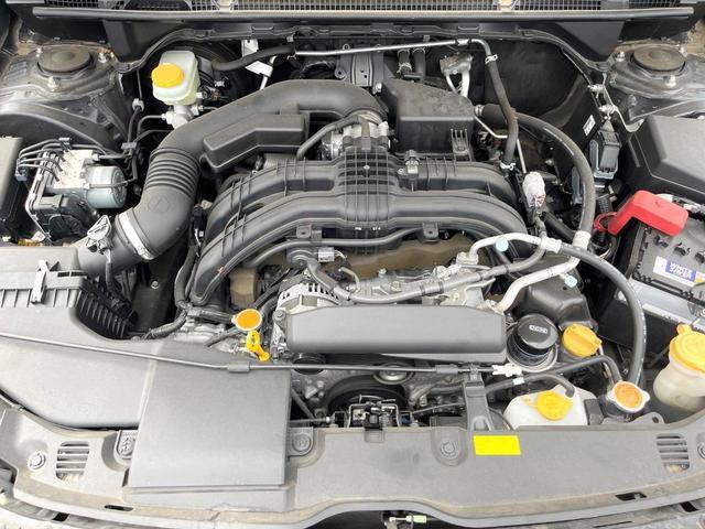 24994635_carP_l_16.jpg