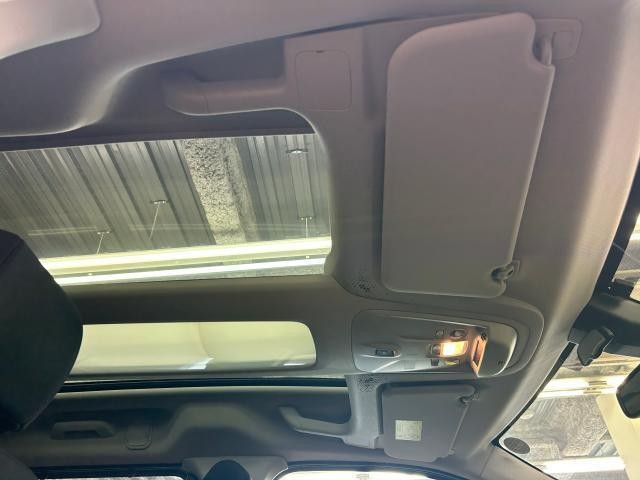 25547972_carP_l_7.jpg