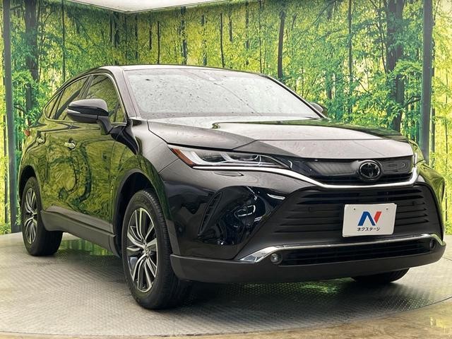 26334764_carP_l_11.jpg