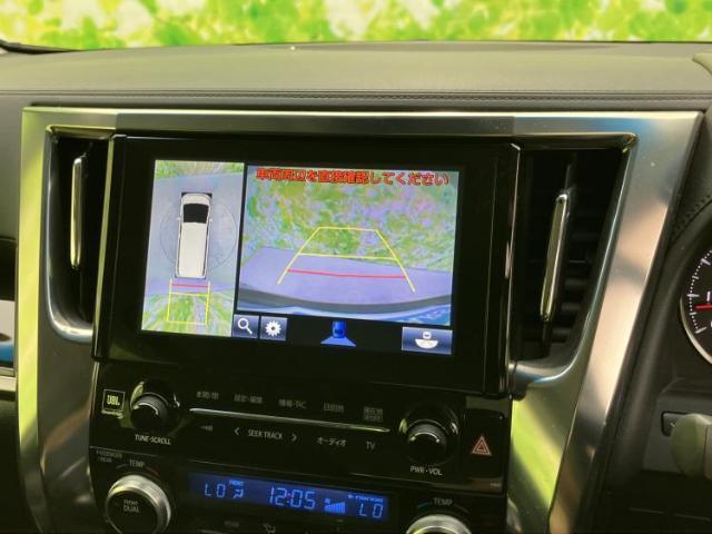 23580967_carP_l_6.jpg