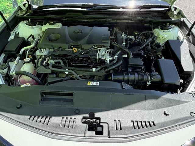 25471648_carP_l_20.jpg