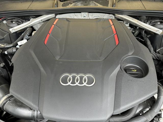 24526355_carP_l_12.jpg