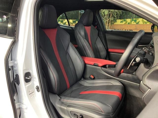 25137920_carP_l_19.jpg