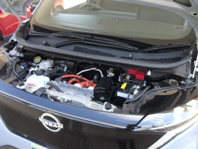 25263030_carP_l_17.jpg