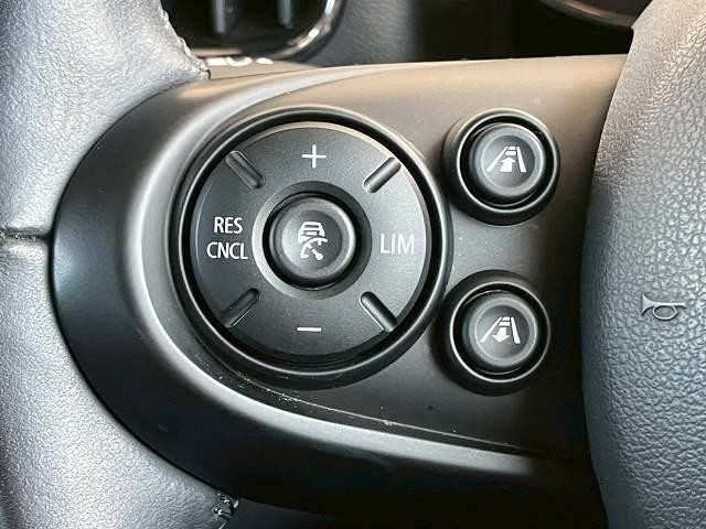 24988668_carP_l_19.jpg
