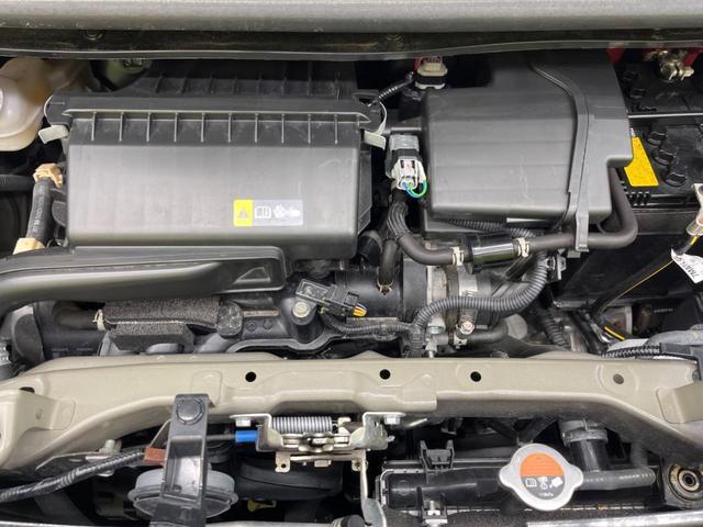 24500723_carP_l_16.jpg
