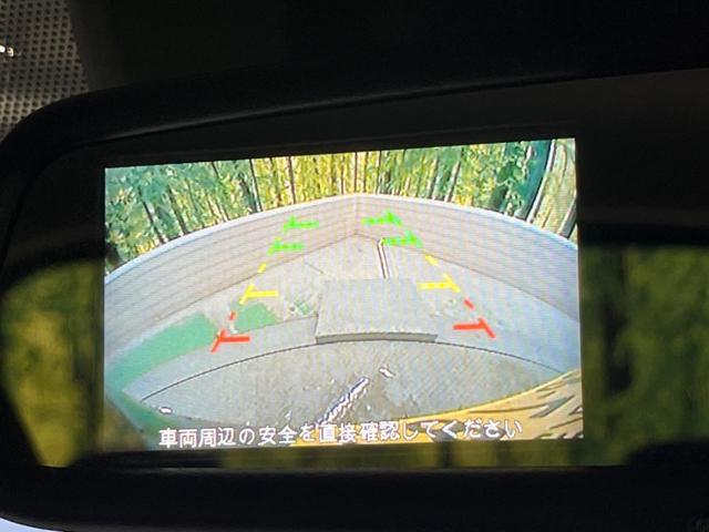 24500723_carP_l_4.jpg