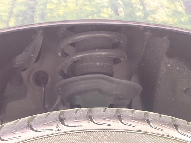 26209895_carP_l_20.jpg