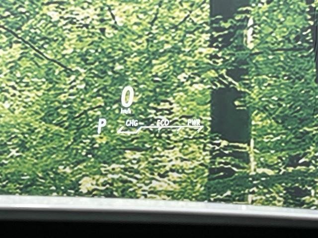 25384470_carP_l_10.jpg