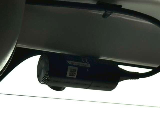 25220523_carP_l_17.jpg