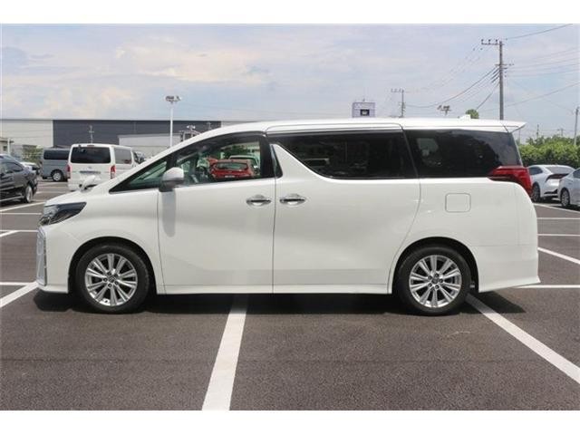 25957561_carP_l_13.jpg
