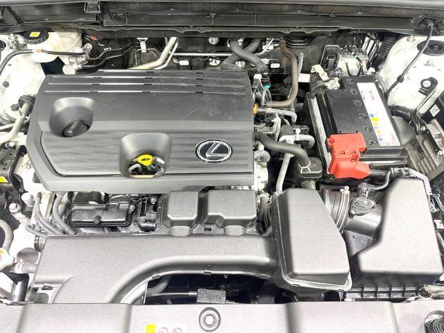 24320579_carP_l_16.jpg