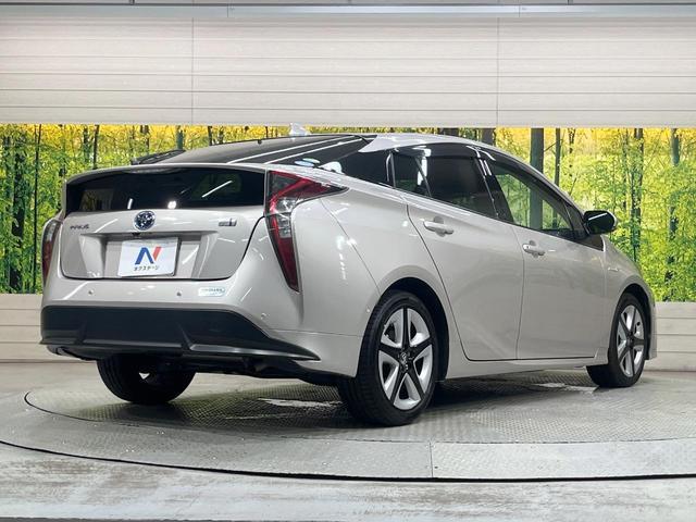24705989_carP_l_12.jpg