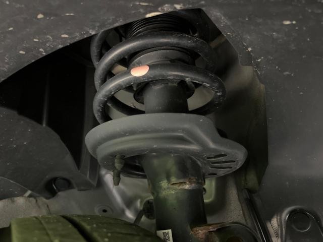 26902045_carP_l_20.jpg
