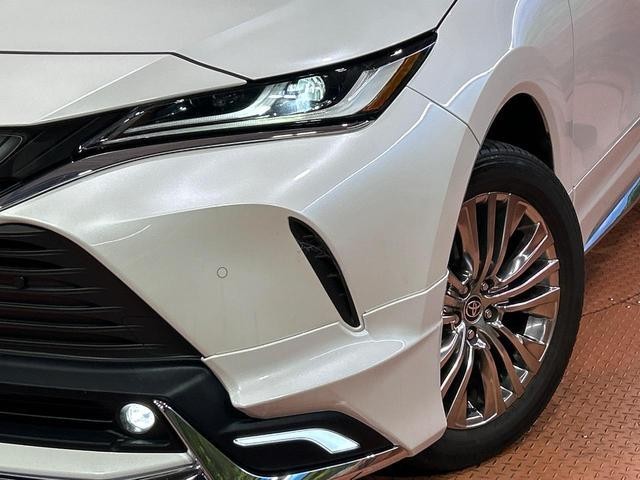 25015318_carP_l_6.jpg