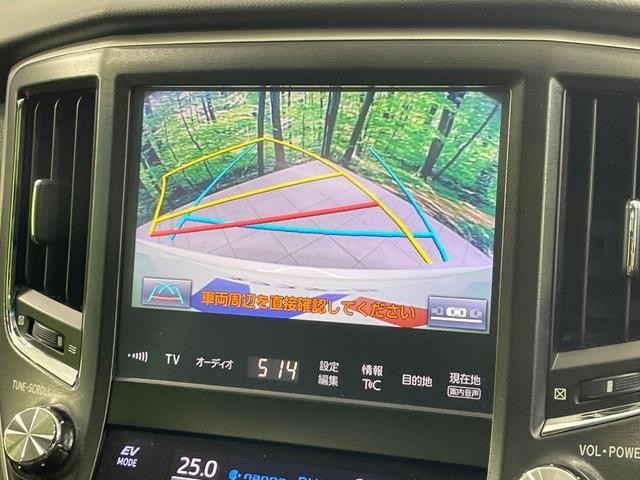 26189733_carP_l_10.jpg