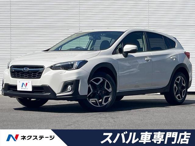 25404992_carP_l_1.jpg