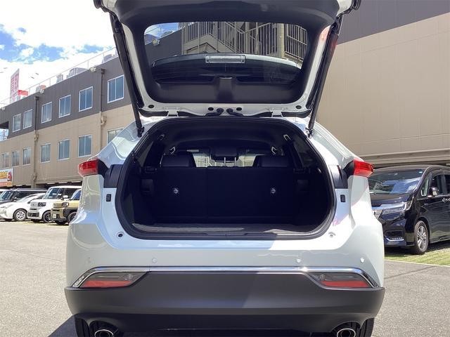 24275084_carP_l_7.jpg
