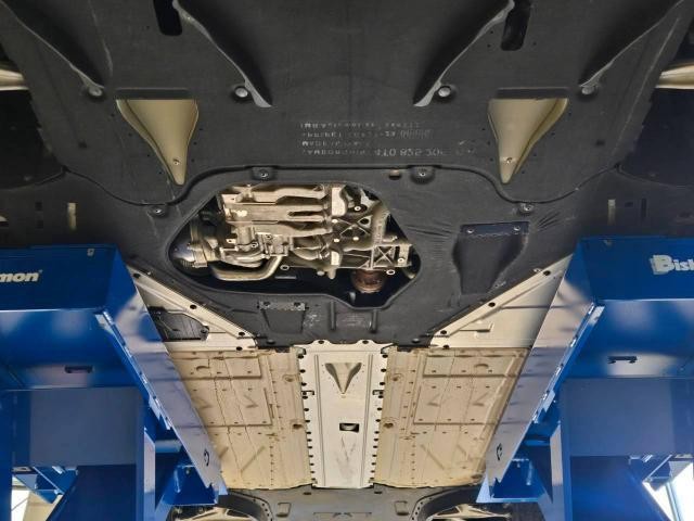 25606454_carP_l_19.jpg