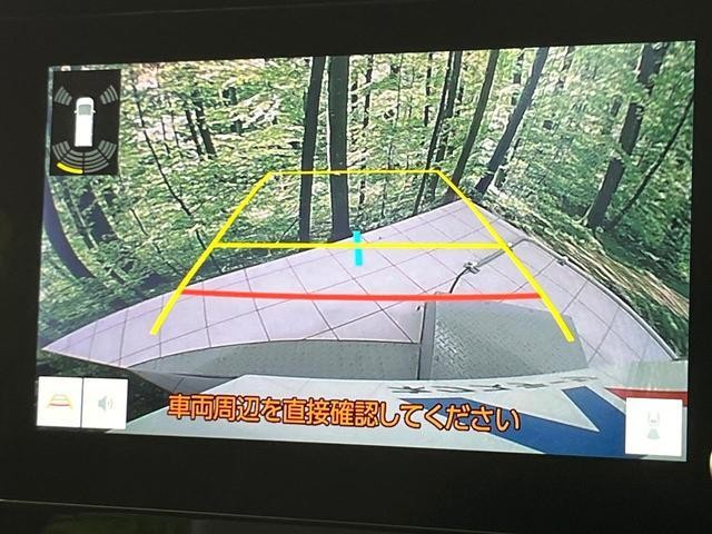 26314688_carP_l_10.jpg
