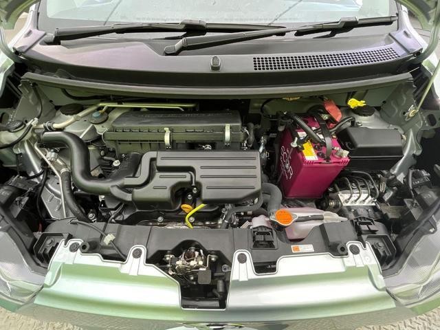 26272338_carP_l_16.jpg