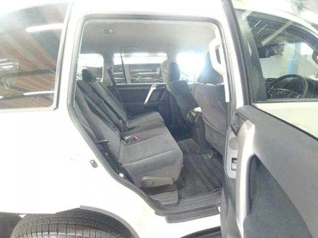 24340882_carP_l_10.jpg