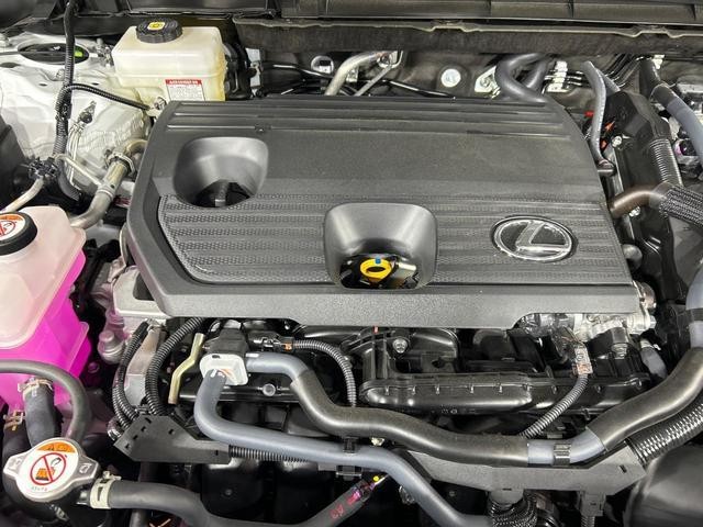26645500_carP_l_16.jpg