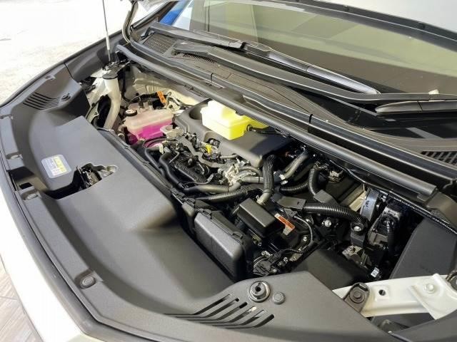 25399474_carP_l_20.jpg