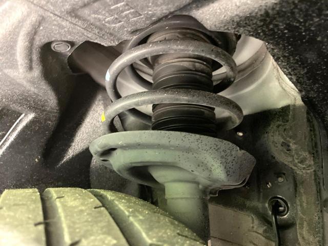 24421789_carP_l_20.jpg