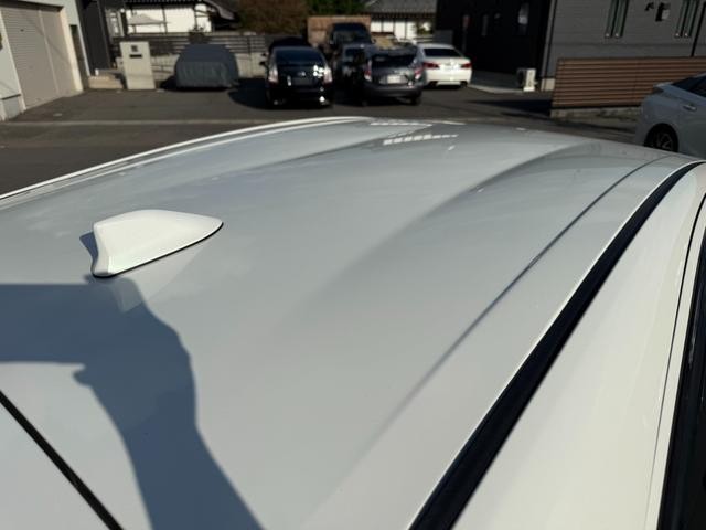 0904297A30261020W00115.jpg