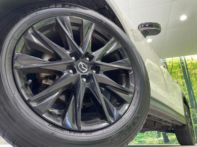 26085046_carP_l_7.jpg