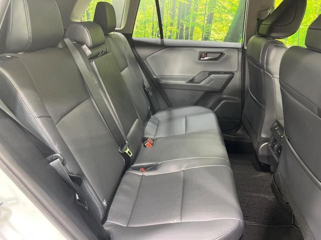 25466670_carP_l_19.jpg