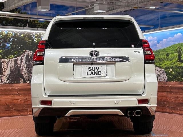 26711098_carP_l_11.jpg