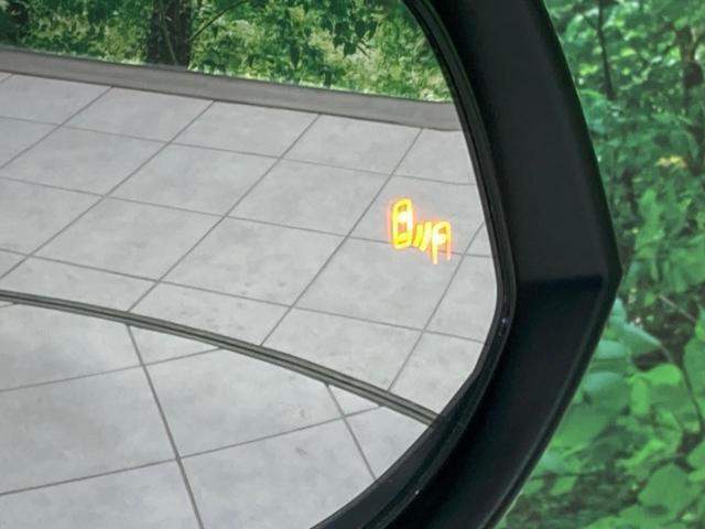 24461636_carP_l_13.jpg