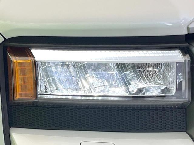 25364000_carP_l_9.jpg