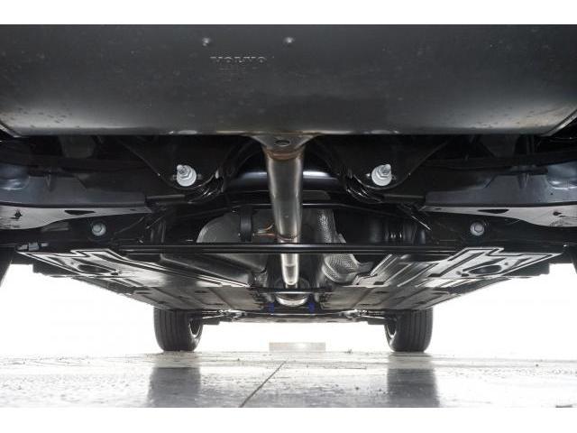 24083838_carP_l_16.jpg