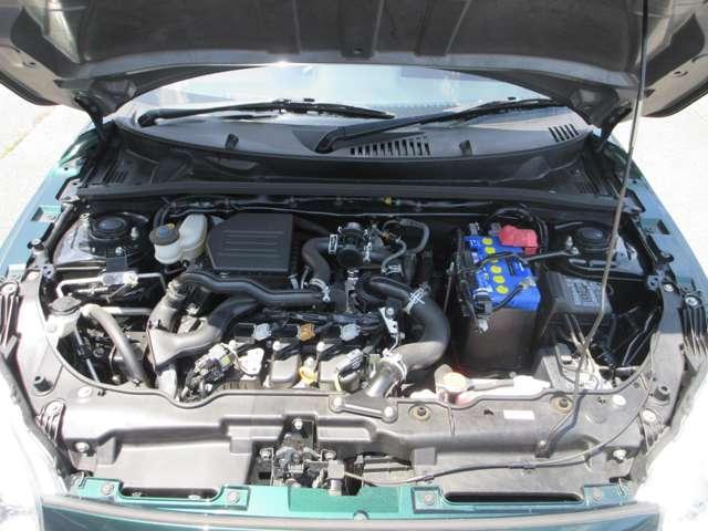 24951200_carP_l_17.jpg